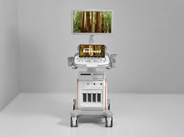 Looking to buy the redwood supplement to boost blood flow naturally? Product Review Acuson Redwood Ultrasound System Techsci Research Pharmiweb Com