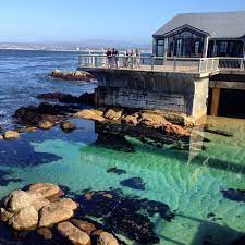 Admission to monterey bay aquarium admire sweeping views of monterey bay from the aquarium's epic location learn about monterey bay aquarium's commitment to conserving the oceans Monterey Bay Aquarium One Of My Favorite Places Ever Places In California Monterey Bay Aquarium California Travel