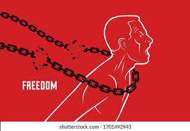 نتیجه جستجوی لغت [liberated] در گوگل