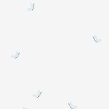 Cartoon Flying White Butterfly Cartoon Butterfly Flying Butterfly White Butterfly Png Transparent Clipart Image And Psd File For Free Download Cartoon Butterfly White Butterfly Butterfly