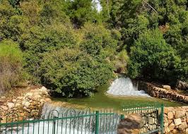 היי, אני ארטיום שפר, אני בן 20 גר בבאר שבע לומד הנדסאי מכונות ויש לי אח תאום. ×©×¤×¨