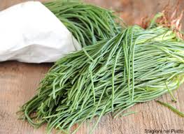 Agretti, barba di frate, barba di cappuccino o. Gli Agretti In Cucina Informazioni Curiosita E Ricette Stagioni Nel Piatto Zucchine Ripiene Zucchine Ripiene Vegetariane Ricette
