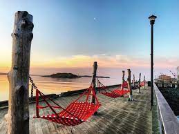 Did you scroll all this way to get facts about halifax waterfront? Lyehiajr New Getaway Spot Hammock Morning View Compared To No Other Halifax Novascotia Halifax Visit Nova Scotia Morning View Halifax Waterfront
