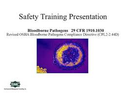 Providing a bloodborne pathogen awareness training annually to all employees of the organization that have regular exposure to blood or other online 24x7 self paced bloodborne pathogen training. Bloodborne Pathogens Training Ppt Video Online Download