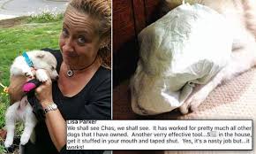 Lisa parker's puppies, in durango, colorado has been finding unwanted puppies their forever homes for over twenty years. Everett Woman S Facebook Dog Shaming Picture Investigated For Abuse Daily Mail Online