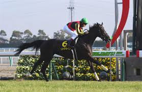 大和商事株式会社（だいわしょうじ、英名daiwa co.,ltd）は千葉県 習志野市 津田沼に本社を置く企業である。 パチンコ チェーン「ニュー後楽園」や飲食店などの経営を行っている。 Xftzwmbl6jcpqm