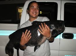 After two years of shady excuses, tony turns to nev and kamie for help in finding out why his online crush tiana refuses to video chat or meet with him in person. Colorado Angler Lands New State Record Channel Catfish 43 Pounds 6 Ounces