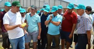 A investi la bursă sau a juca la bursă presupune cumpărarea sau vânzarea a diferite instrumente financiare cu scopul de a obține profit. Marcoser Descriere Activitate Misiune Si Viziune