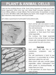 Teaching Cells With A Short Unit For Fourth Grade And Fifth Grade Students In 2020 Teaching Cells Photosynthesis Worksheet Teaching