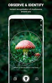 Automatically identify mushrooms from a picture. Mushroom Identifier App By Photo Camera 2020 For Android Apk Download