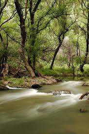 Torrens River In The Adelaide Hills By Colourscape Scenery Australia Travel South Australia
