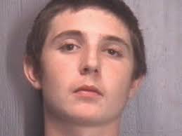 Two students charged with bringing guns to high school