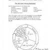 The cell cycle coloring worksheet interphase is the longest phase of the cell cycle. Https Encrypted Tbn0 Gstatic Com Images Q Tbn And9gcrnicdmtmz57tgexcwnf O2zioykgwwirao4ck8d2vi2rwnulbt Usqp Cau