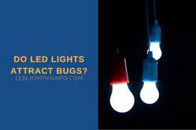 Do Led Lights Attract Bugs Do Actually Insects Love Light Bulbs Led Lighting Info