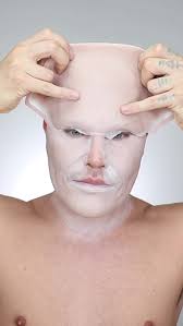 Lady Inspired Glenn Close Character