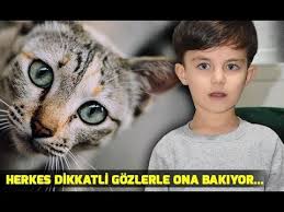 Kedi Gozlu Cocuk Gece Karanliginda Da Goruyor Youtube