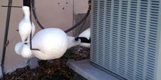 These units are found on top or below your furnace, and help complete your system by transferring heat for enhanced home comfort. Tips For A Frozen Air Conditioner