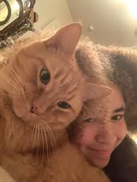 Lost and Found Pets of Milton and Pace, FL