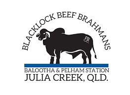 Through centuries of exposure to inadequate food supplies, insect pests, parasites. Professionell Elegant Business Logo Design Fur Blacklock Beef Brahmans Balootha Pelham Station Julia Creek Qld Von Rivye Design 15322435