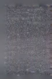 Image result for Cordia torrei