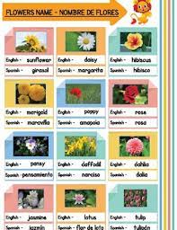 Stone flowers are the biological indicators of air pollution. Spanish English Flowers Name Poster By Teachingmykidresources Tpt