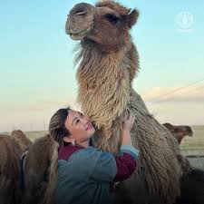 @FAOLivestock's video Tweet