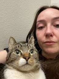 Cat Shot and Killed in Agate Beach, Oregon