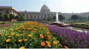 In general, better to choose large containers when growing plants for terrace garden because in large containers, plants grow more easily: Beautiful Gardens In India Gardens And Parks In India