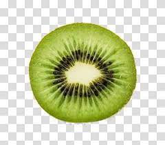 Kiwi Fruit Illustration Juice Fruit Salad Kiwifruit Slice Kiwi Transparent Background Png Clipart Fruit Illustration Fruit Kiwi Fruit