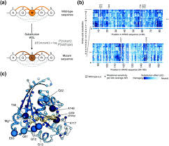 Al quran pro for windows 10. Protein Structures Interactions And Function From Evolutionary Couplings Springerlink