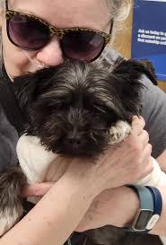 gonebutnotforgottenchallenge﻿ Sammy and Roscoe We lost them both within the  last 12 months. Sammy,