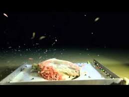 Challenger Deep Video Youtube