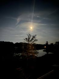 Kim Ness Braniecki (@kabraniecki) • Instagram photos and videos