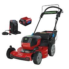 Proud suppliers of sir walter dna certified soft leaf buffalo. The 8 Best Electric Lawn Mowers Of 2021