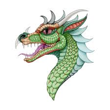 Vintage Dragon En 2020 Dessin De Dragon Mandala Dessin Et Dessin