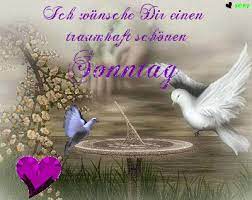Schönen sonntag gif bilder kostenlos. Schonen Sonntag Gif 22 Gbpicsbilder Com