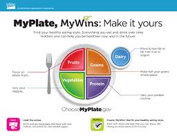 My Plate Is A Tool That Is Used In School Cafeterias To Limit Children S Consumption Of Unhealthy Foods This Mo In 2020 My Plate Nutrition Family And Consumer Science