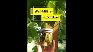 Diy Weinblatter In Salzlake Einlegen Fur Gefullte Weinblatter Rezepte Gefullte Weinblatter Weinblatt Wein