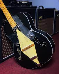 Pin On Archtop Guitars