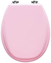 Luxus Design Wc Sitz Kan Hochwertiger Toilettensitz Mit Absenkautomatik Made In Sweden 15 Jahre Garantie Blush Rosa A Wc Sitz Absenkautomatik Toilettensitz