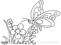 Flowers are so cheery that i want to brighten your day too! Get This Butterfly On Flower Coloring Pages 893ag
