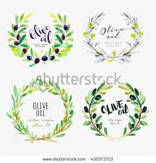 Hand Drawn Olive Oil Watercolor Signs Set Of Vector Illustrations For Olive Oil Labels Packaging Design Natural Products R How To Draw Hands Oils Olive Oil