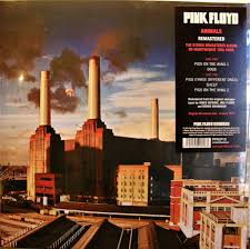 Image result for Pink 1977 Amana