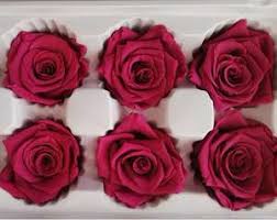 Welcome to the fresh cut flower wholesalers ltd trade only website. Natural Fresh Cut Flowers Wholesale Preserved Roses Christmas Promotinal Gift 5 6cm 6pcs Box Rose Head