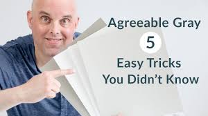 It is a versatile shade that goes in any style of both agreeable gray and repose gray are gorgeous choices for your walls. Agreeable Gray 5 Easy Tricks You Didn T Know Youtube