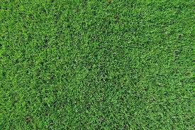 Jun 01, 2018 · background ppt teknik paling keren hd gratis. Rumput Gambut Halaman Rumput Latar Belakang Tekstur Hijau Subur Bidang Wallpaper Pikist