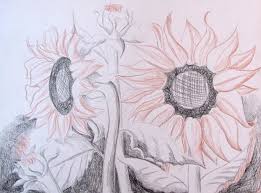 We did not find results for: How To Draw Sunflowers Happy Family Art