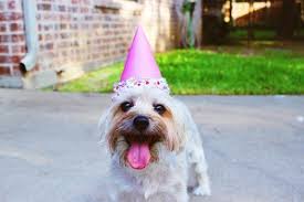 These little quotes make great birthday card messages. Great Tricks Funny Birthday Birthday Video Ideas Must Read