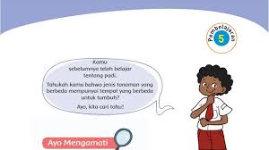 Kunci Jawaban Tema 3 Kelas 4 Sd Halaman 32 33 34 35 36 37 38 39 Buku Tematik Subtema 1 Tribunnews Com Mobile