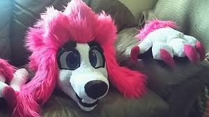 Freddy lupin, heir to a proud family line of werewolves, is in for a shock when on his 14th birthday his first 'warfing' goes awry, turning him into a ferocious poodle. Xtrent968 On Twitter I M Proud To Show You My Very First Fursuit I Ve Made Myself Thank You To My Sister Cheereebird For Teaching Me While I Worked It S Freddy Lupin From 100 Wolf